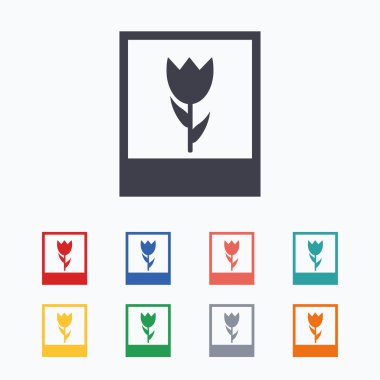 Makro fotoğraf çerçevesi simgeleri