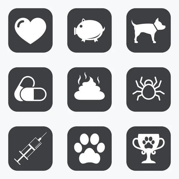 Veterinary, pets icons. — Stock Vector