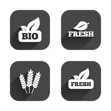 Doğal taze biyo gıda simgeler.
