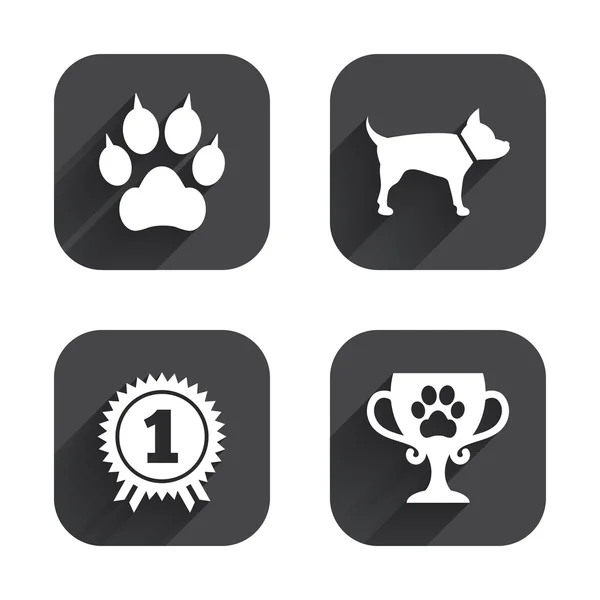 Iconos de mascotas. Pata de gato — Vector de stock