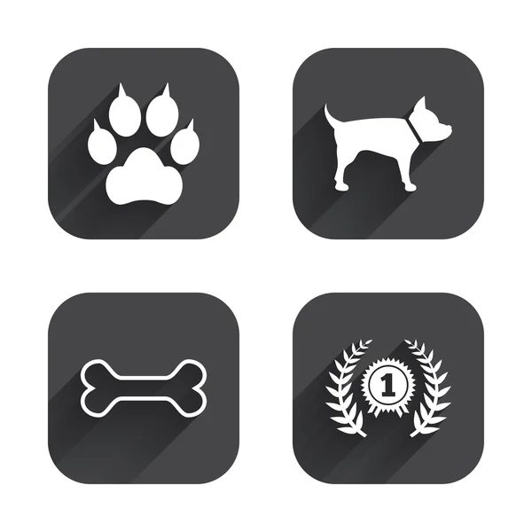 Huisdieren pictogrammen. Kat paw — Stockvector