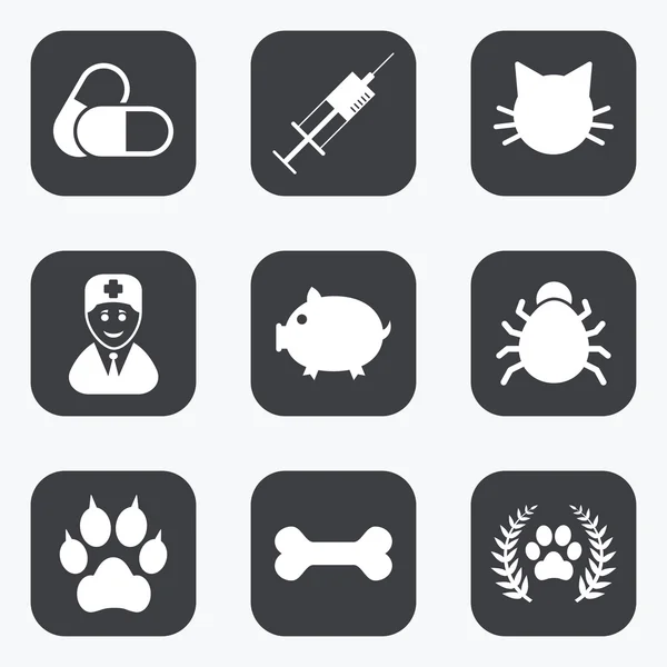 Veterinary, pets icons. — Stock Vector