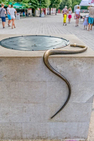 Cetinje Schlange auf dem Brunnen — Stockfoto