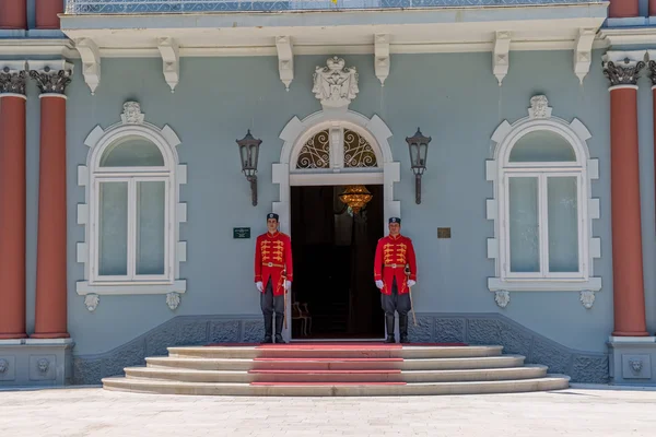 Cetinje Blue Palace guards — Stock Photo, Image