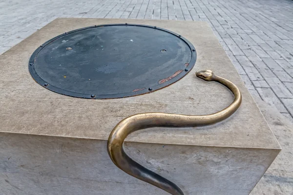 Cetinje snake on the well — Stock Photo, Image
