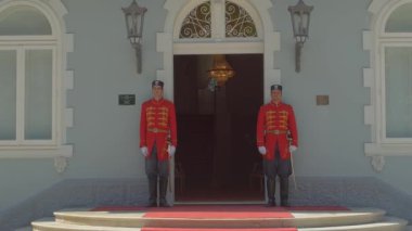 Cetinje Mavi Saray Muhafızları