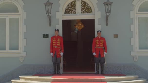 Strażnicy Cetinje Blue Palace — Wideo stockowe