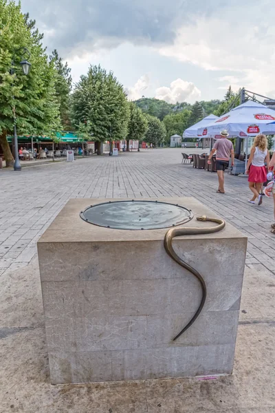 Cetinje węża na dobrze — Zdjęcie stockowe