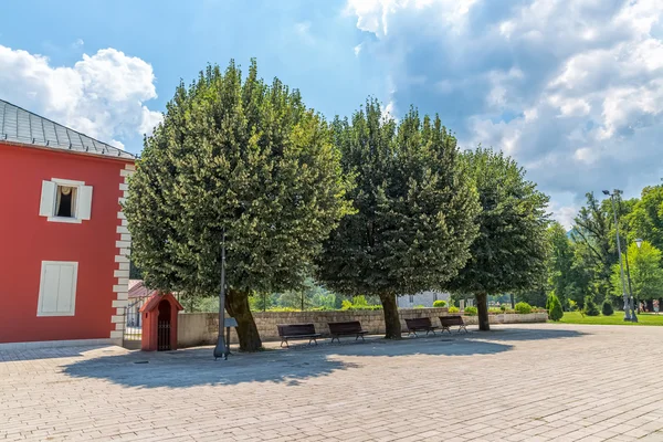 Cetinje Dvorski Square staré stromy — Stock fotografie