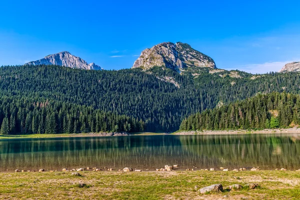 Montagnes Monténégro Lac Noir — Photo