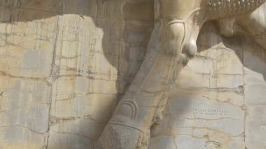 Persepolis Lamassu heykeller