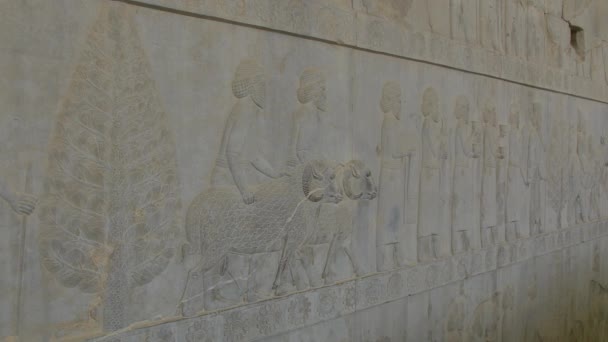 Persepolis relief wall — Stock Video