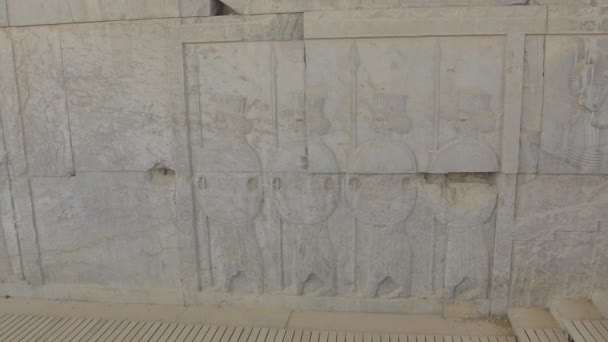 Dinding relief Persepolis — Stok Video