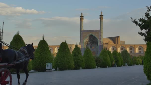 Carruaje Isfahan Imam Square — Vídeo de stock