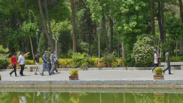 Chehel Sotoun επισκέπτες. — Αρχείο Βίντεο