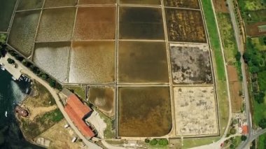 Ston tuzlusu, anten.