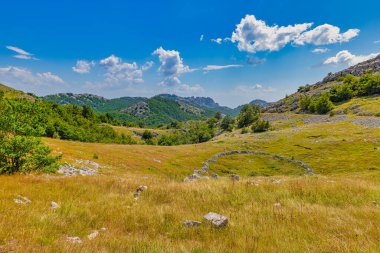 Velebit Dağı 'nın yeşil manzarası yaz zamanı