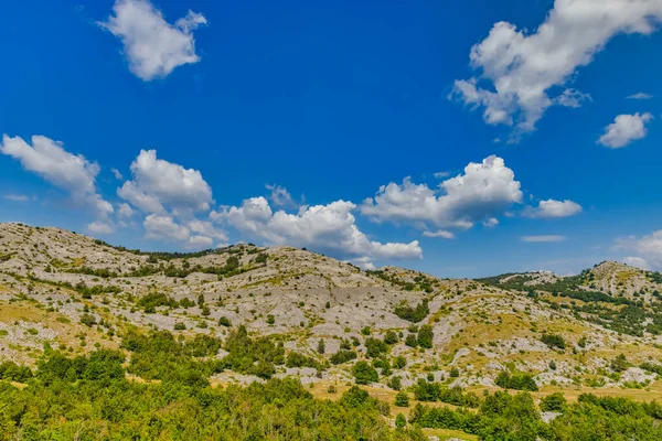 Grüne Landschaft im Velebit-Gebirge im Sommer — Stockfoto