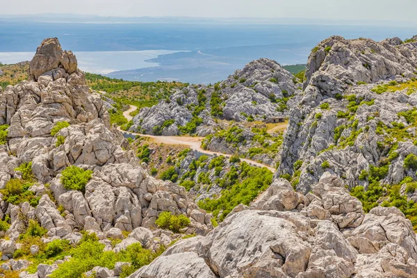 Velebit hegyi vad közúti jelenet nyáron — Stock Fotó