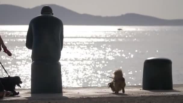 Matahari terbenam di pantai Zadar — Stok Video