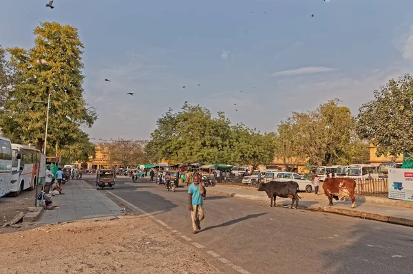 Jaipur människor på stadens gata i Indien — Stockfoto