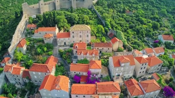 Mali Ston en la península de Peljesac, aérea — Vídeo de stock