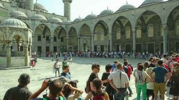 Mesquita Azul Istambul — Vídeo de Stock