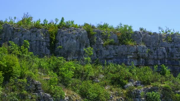 Au sommet de la colline 