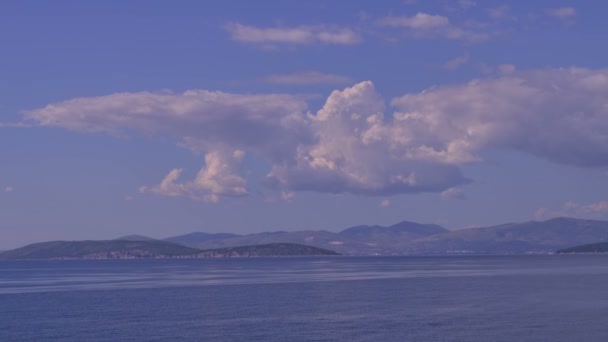 Naturaleza azul y gaviota — Vídeo de stock