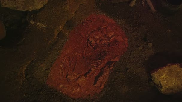 Esqueleto humano en el museo de la cueva — Vídeo de stock