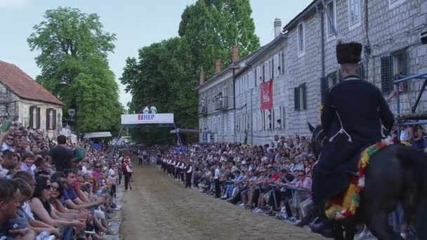 Hipódromo de Sinj Alka — Vídeo de stock