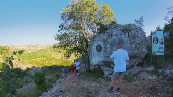 Blick auf den Wasserfall Manojlovac am Fluss Krka — Stockvideo