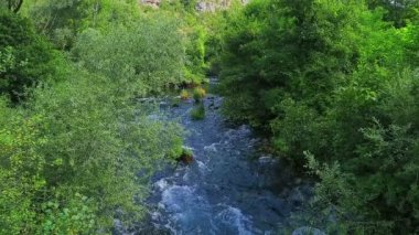 Çalılar ile Krka nehir akışı