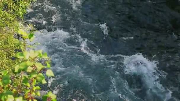 Krka river flow — Stock Video