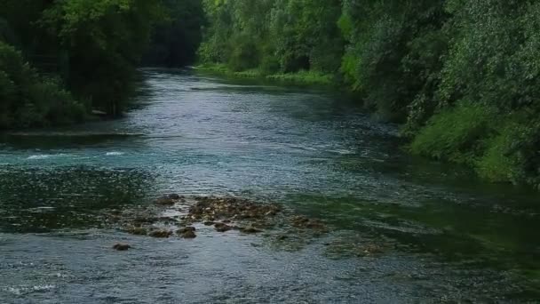 Flusso del fiume Krka — Video Stock