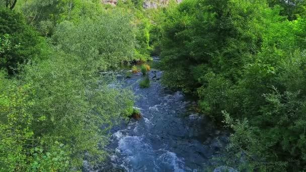 Krka flod flöde genom buskarna — Stockvideo