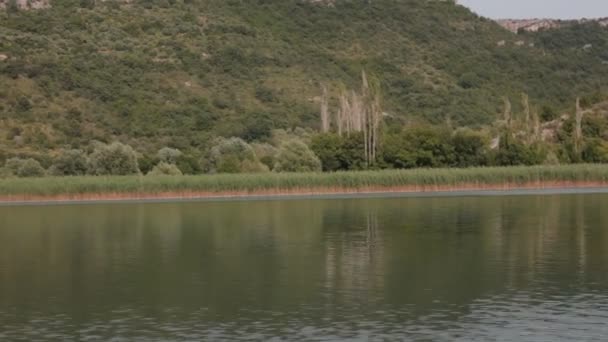 Boat trip down the river — Stock Video