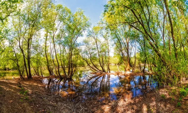 Paisagem do lago com árvores verdes — Fotografia de Stock