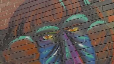 Maymun Melbourne grafiti