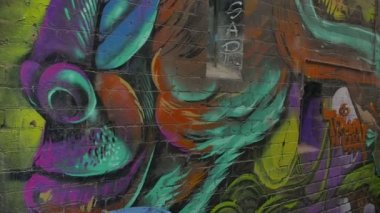 Maymun profil renkli grafiti