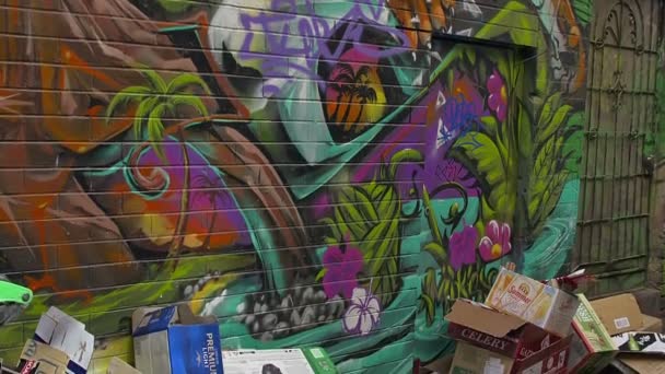 Πολύχρωμο γκράφιτι τίγρη — Αρχείο Βίντεο
