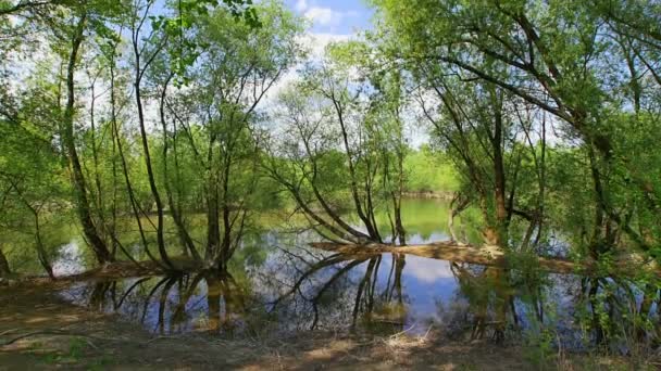 Lago Bundek a Zagabria — Video Stock