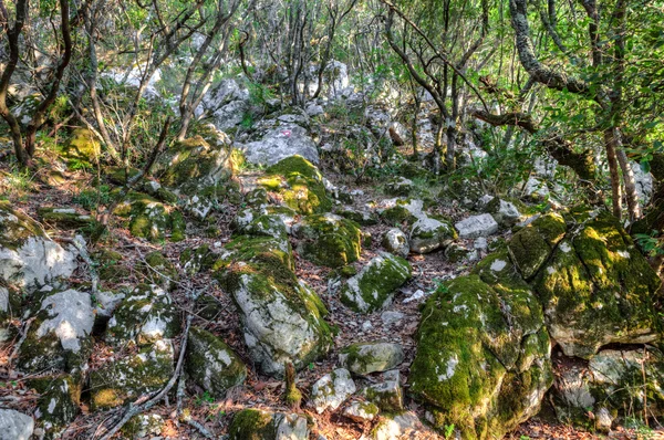 Trilha de caminhada com uma marca em uma rocha . — Fotografia de Stock