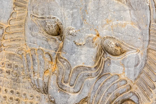 Dettaglio rilievo leone Persepolis — Foto Stock