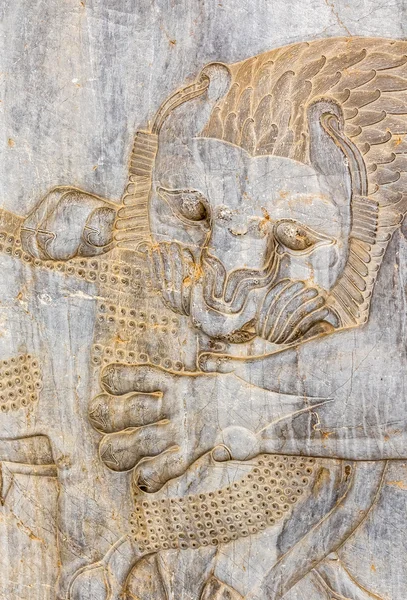 Leão detalhe alívio persépolis — Fotografia de Stock
