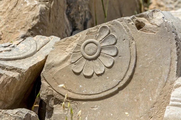 Persepolis ruins flower detail — Stock Photo, Image