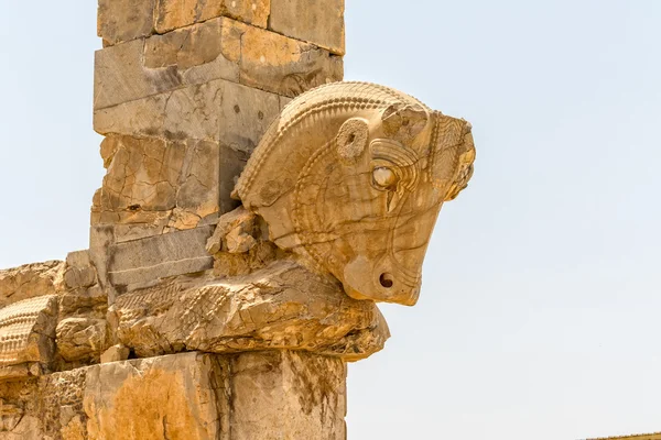 Taurus hlava Persepolis — Stock fotografie