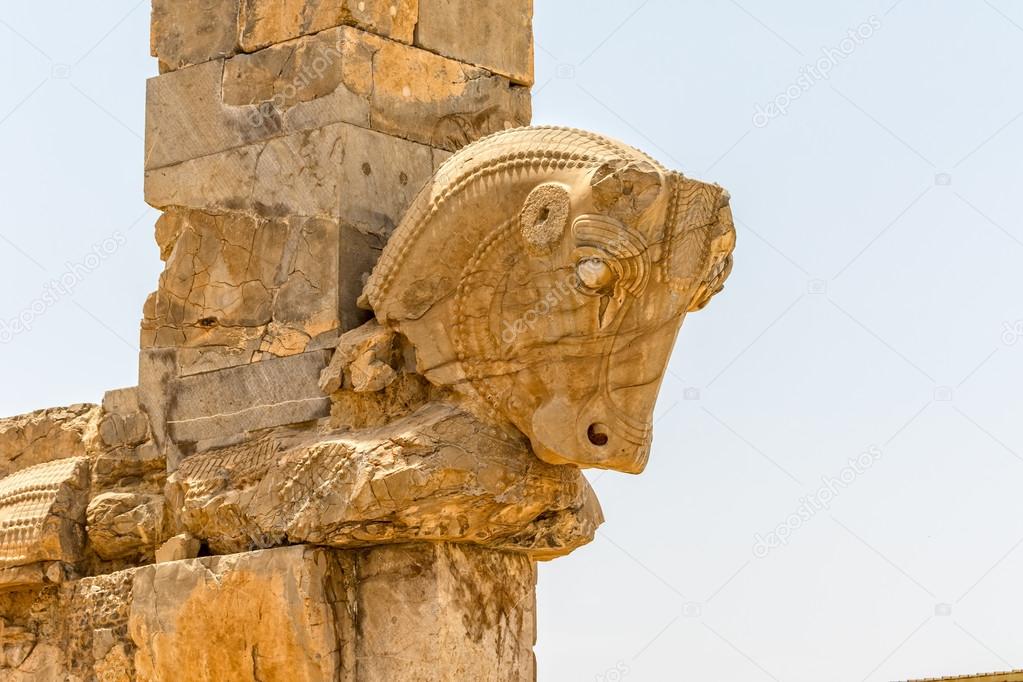 Taurus head Persepolis