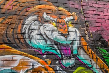 Melbourne grafiti kaplan yüz