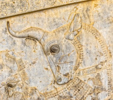 Boğa kabartma ayrıntı Persepolis